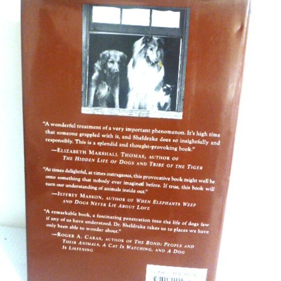 1st ED. 2009 DOGS That Know When Their OWNERS Are COMING Home Rupert Sheldrake - Picture 3 of 13